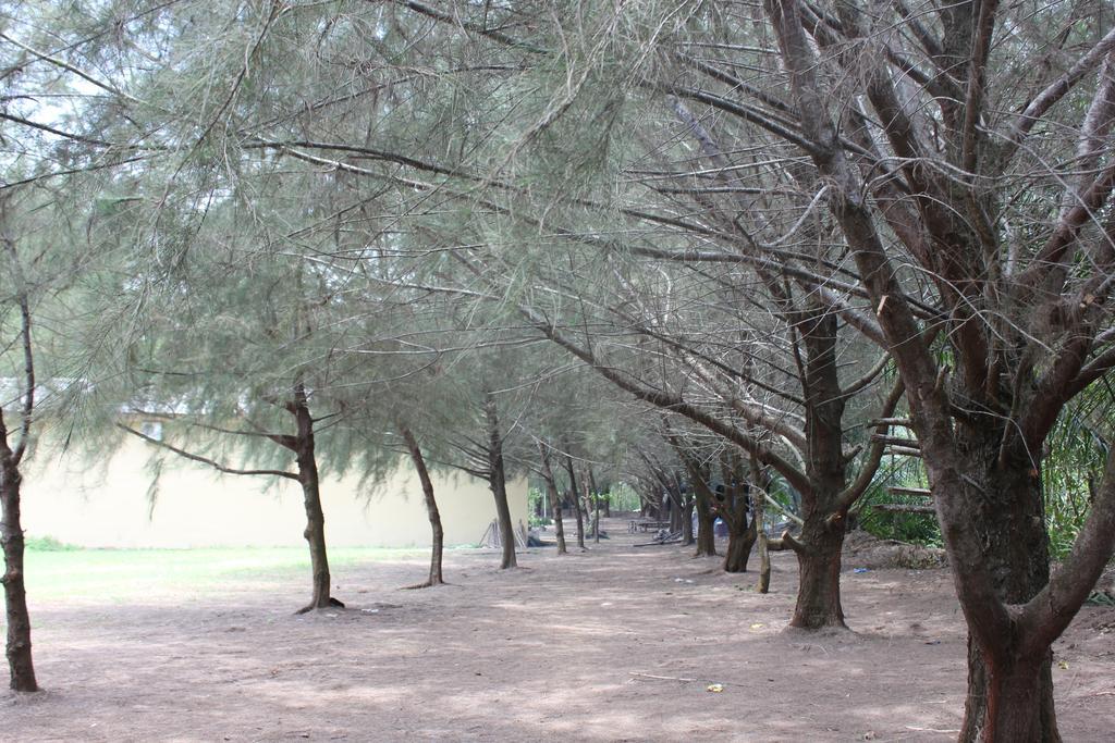 Siba Island Resort Medan Eksteriør billede